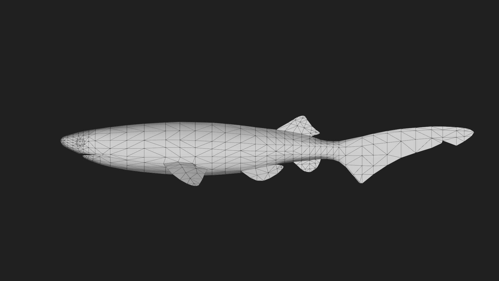 Shark Low-poly 3D model_1