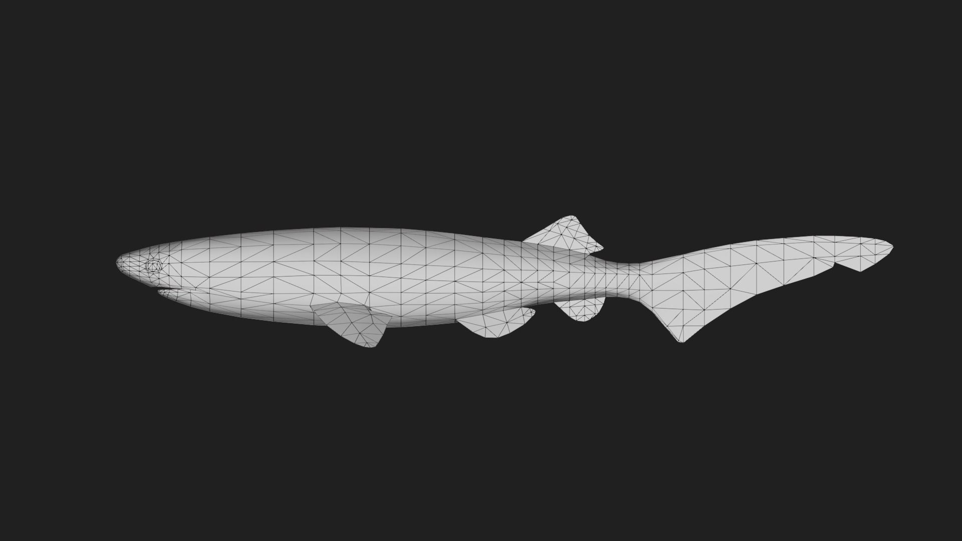 Shark Low-poly 3D model_1
