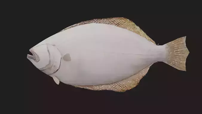 Flatfish