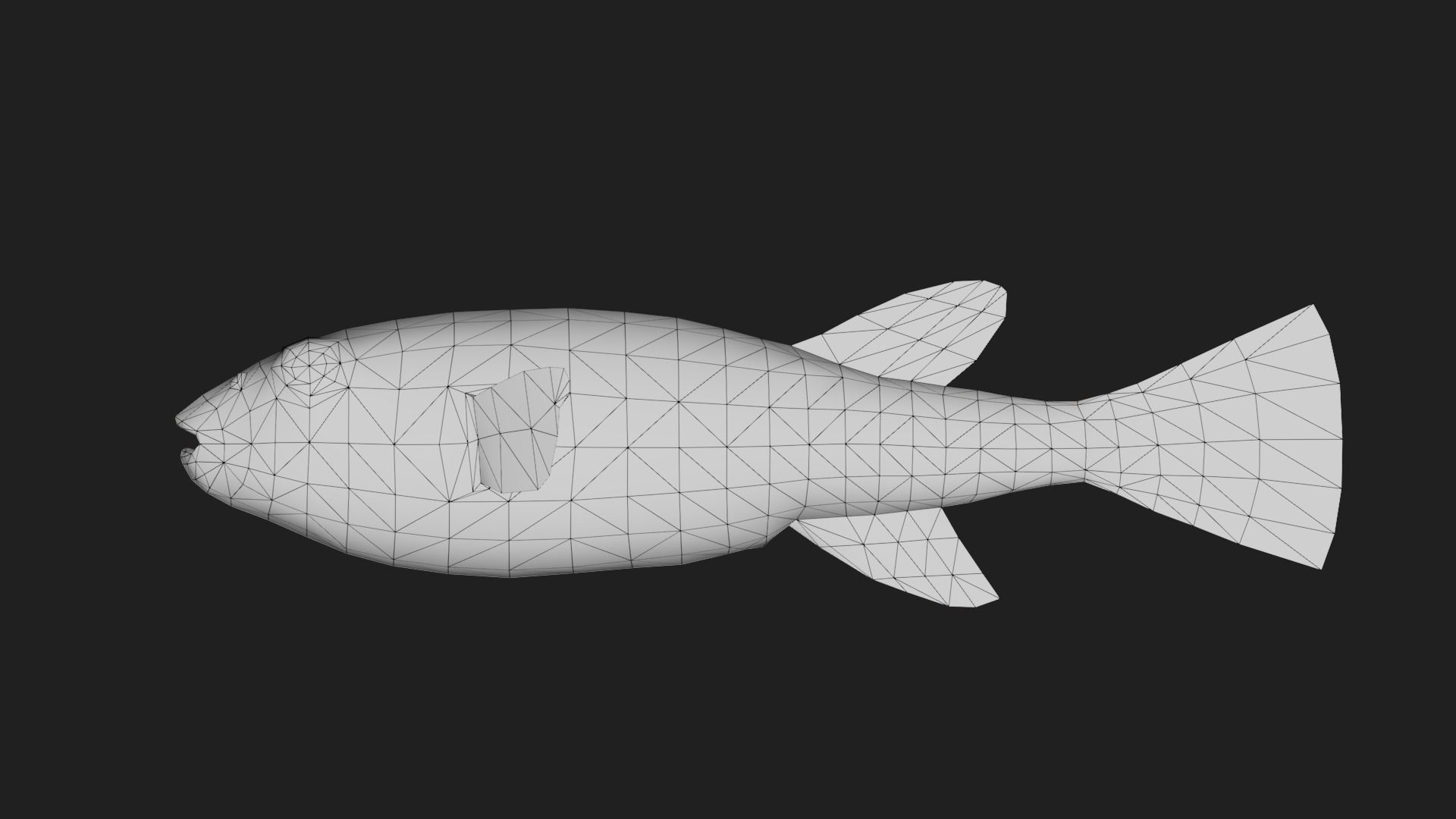 Filefish Low-poly 3D model_1