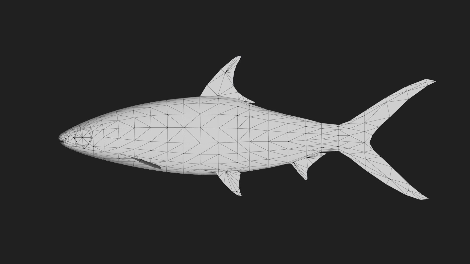 Chanos Low-poly 3D model_1
