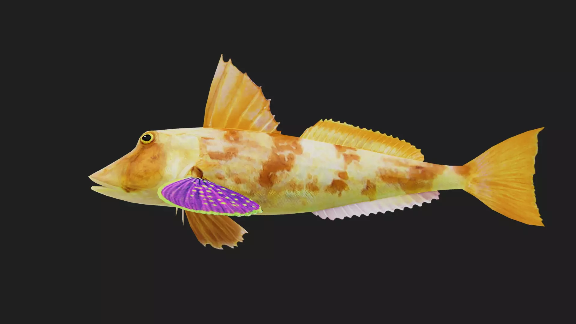 Bass fish Low-poly 3D model