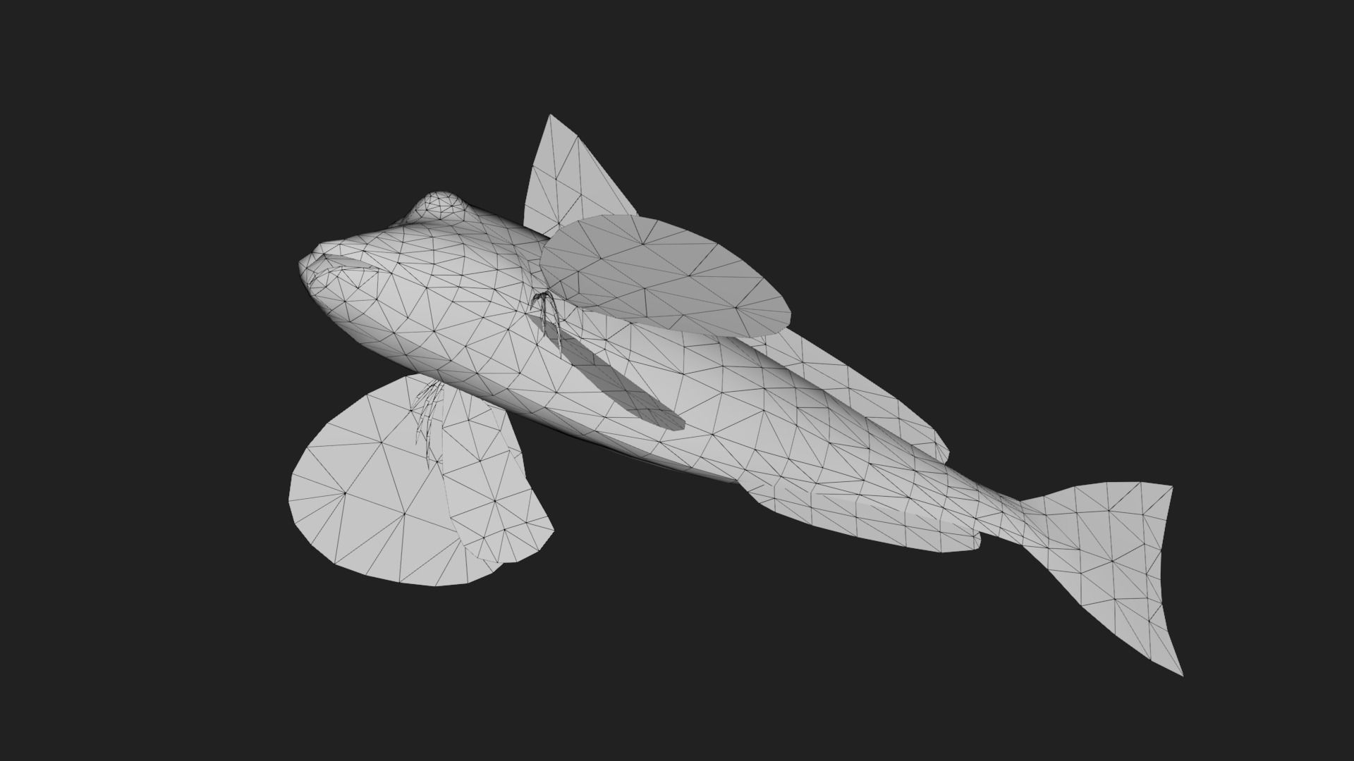 Bass fish Low-poly 3D model_5