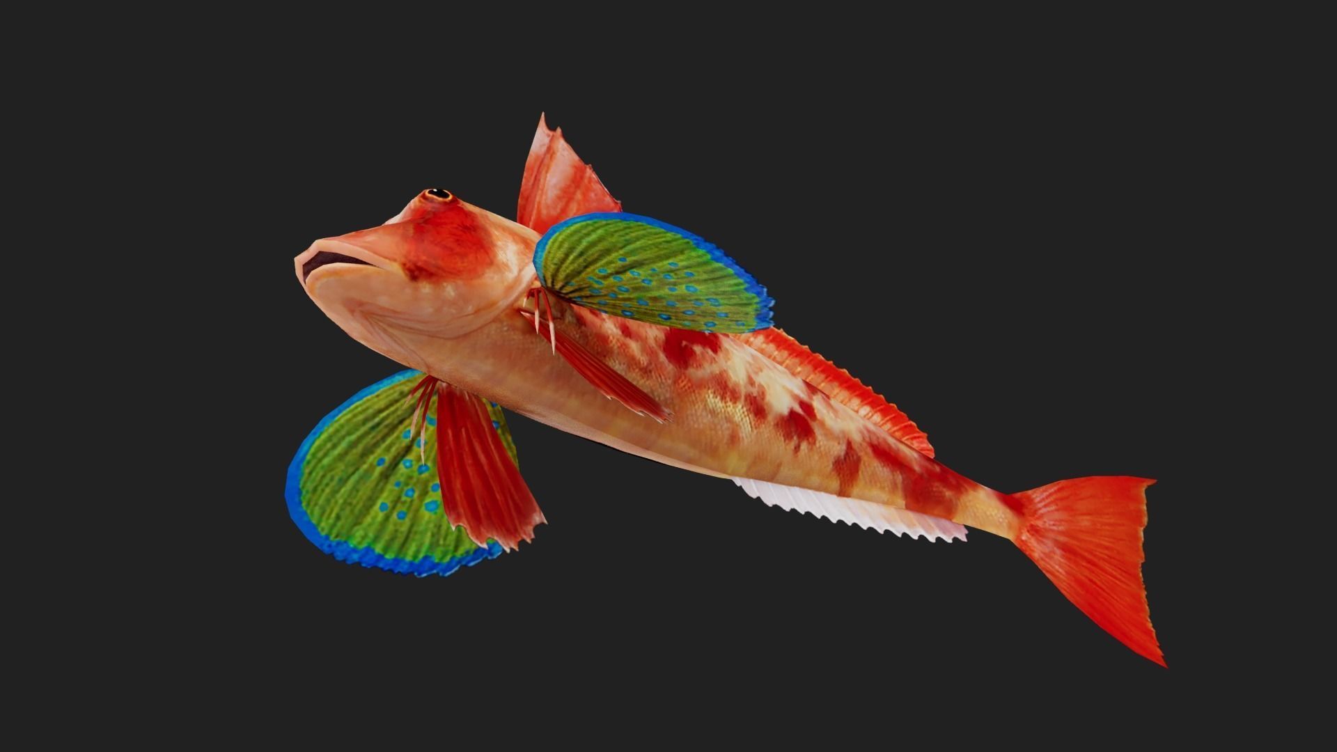Bass fish Low-poly 3D model_4