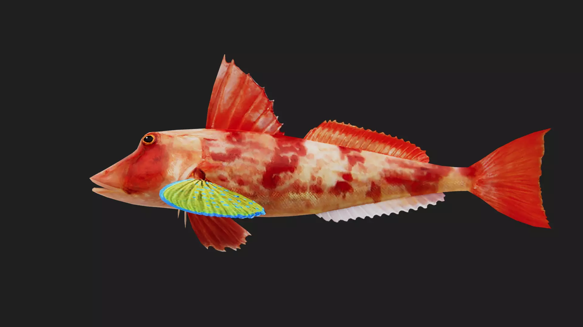 Bass fish Low-poly 3D model_0
