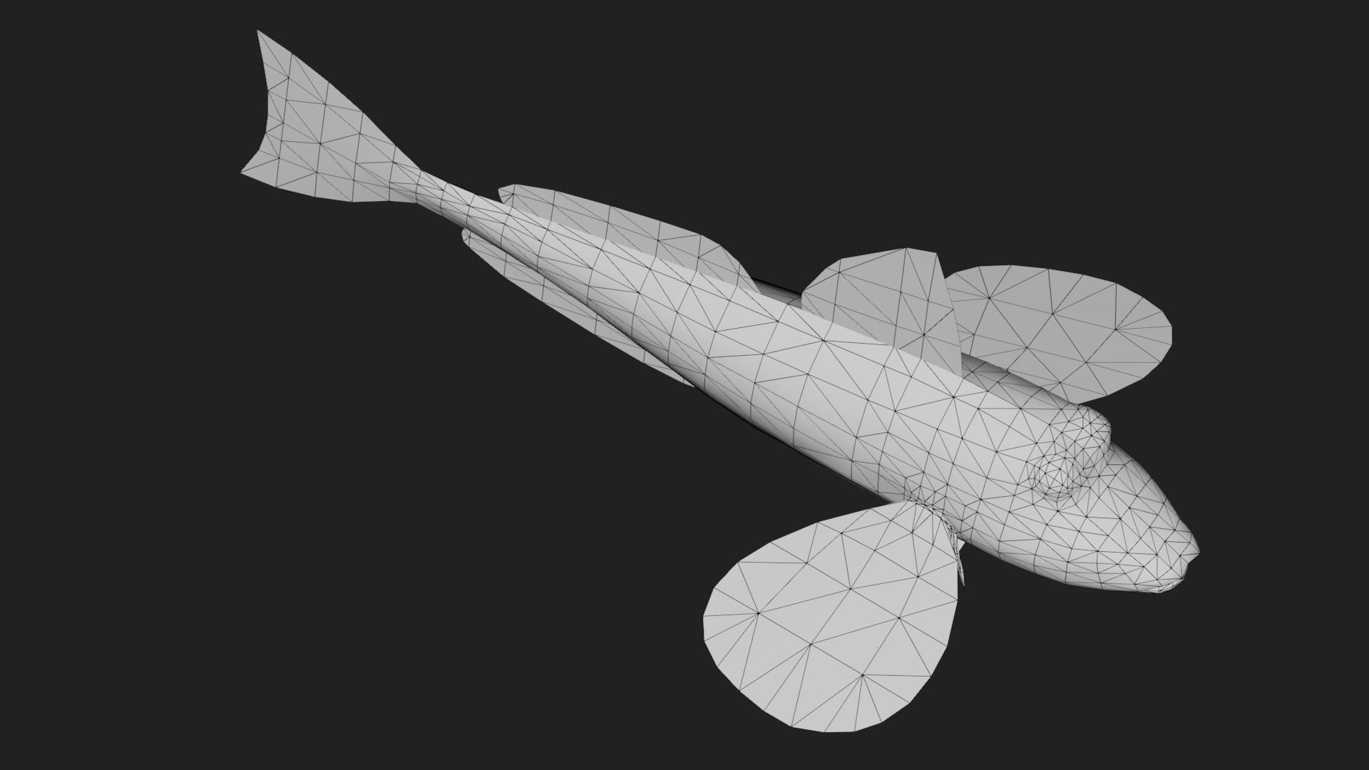 Bass fish Low-poly 3D model_3