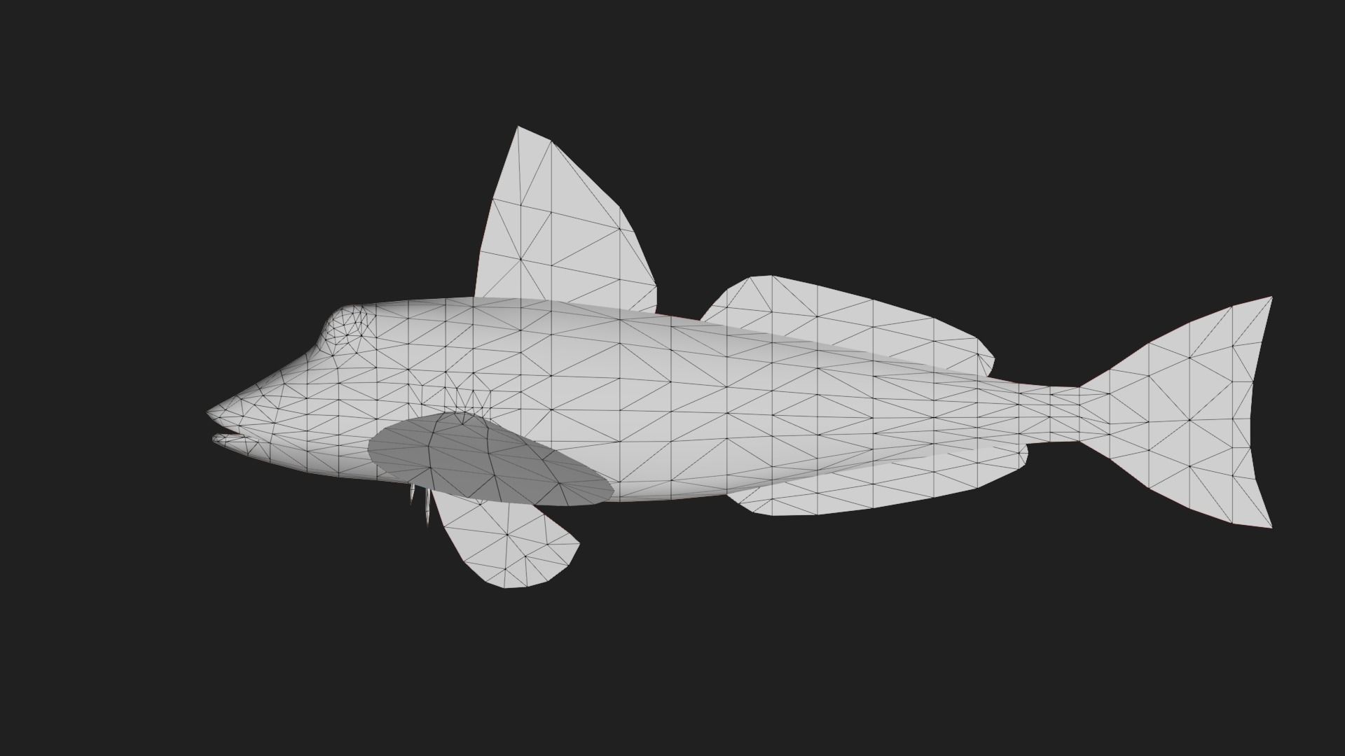 Bass fish Low-poly 3D model_1