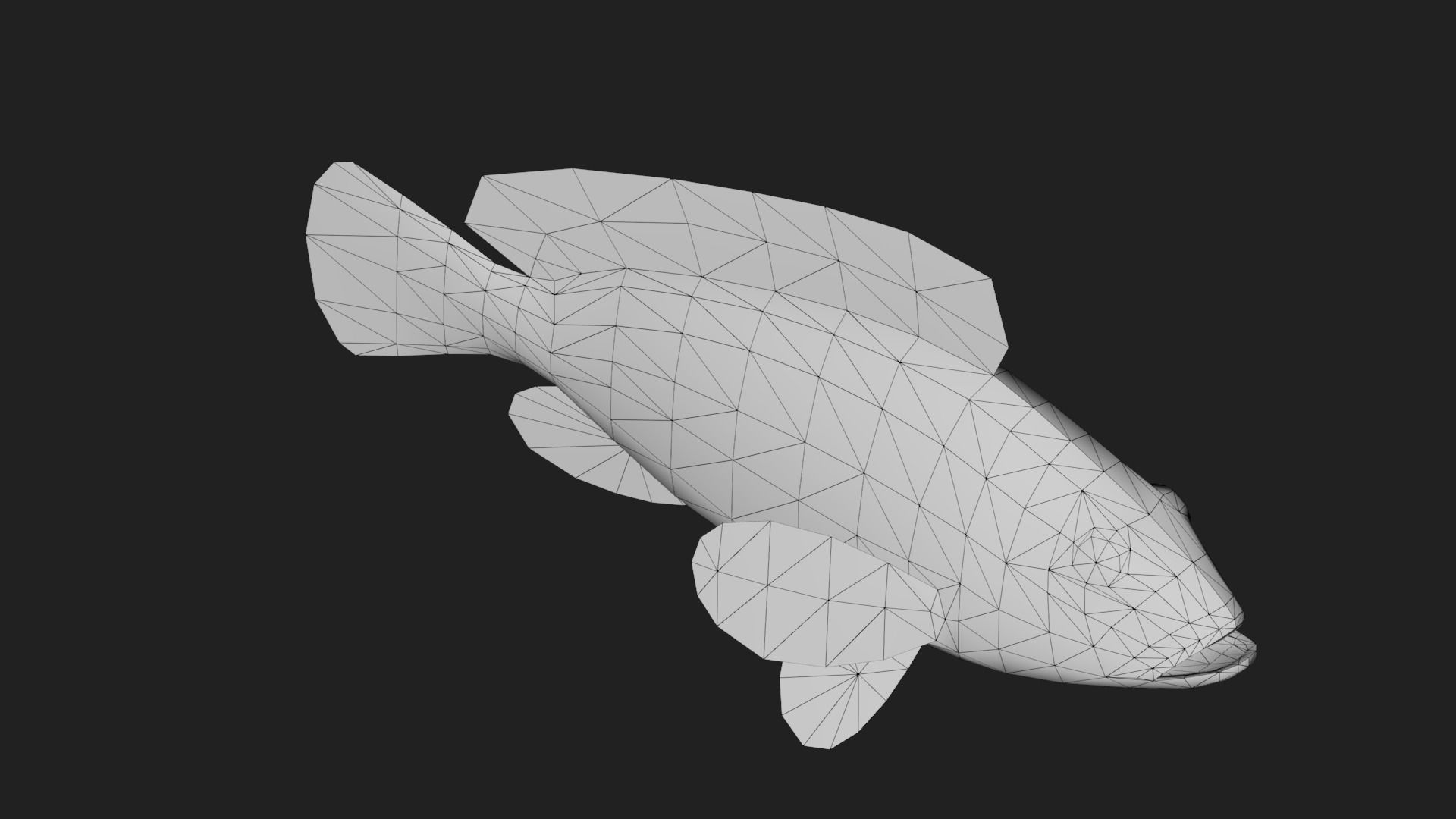 Bass fish Low-poly 3D model_3