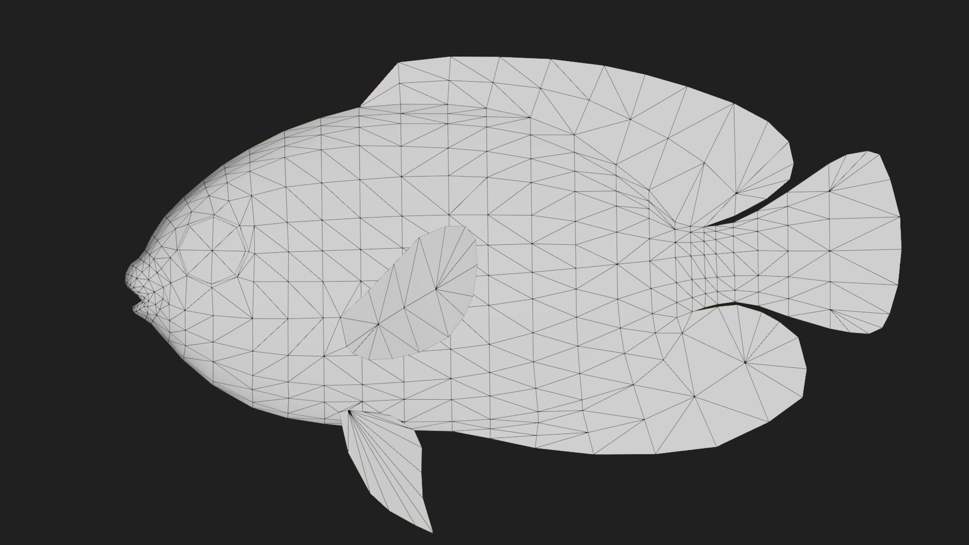 Bass fish Low-poly 3D model_1