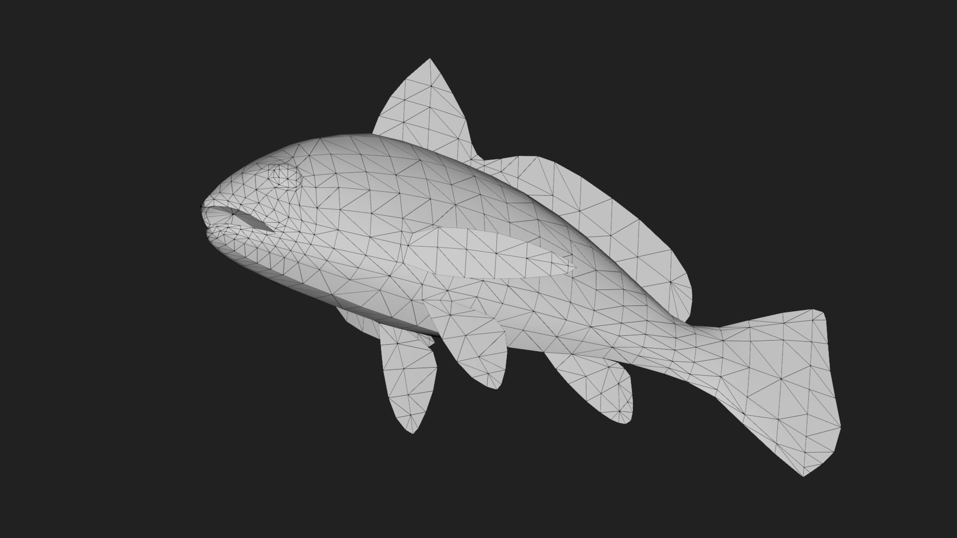 Bass fish Low-poly 3D model_5