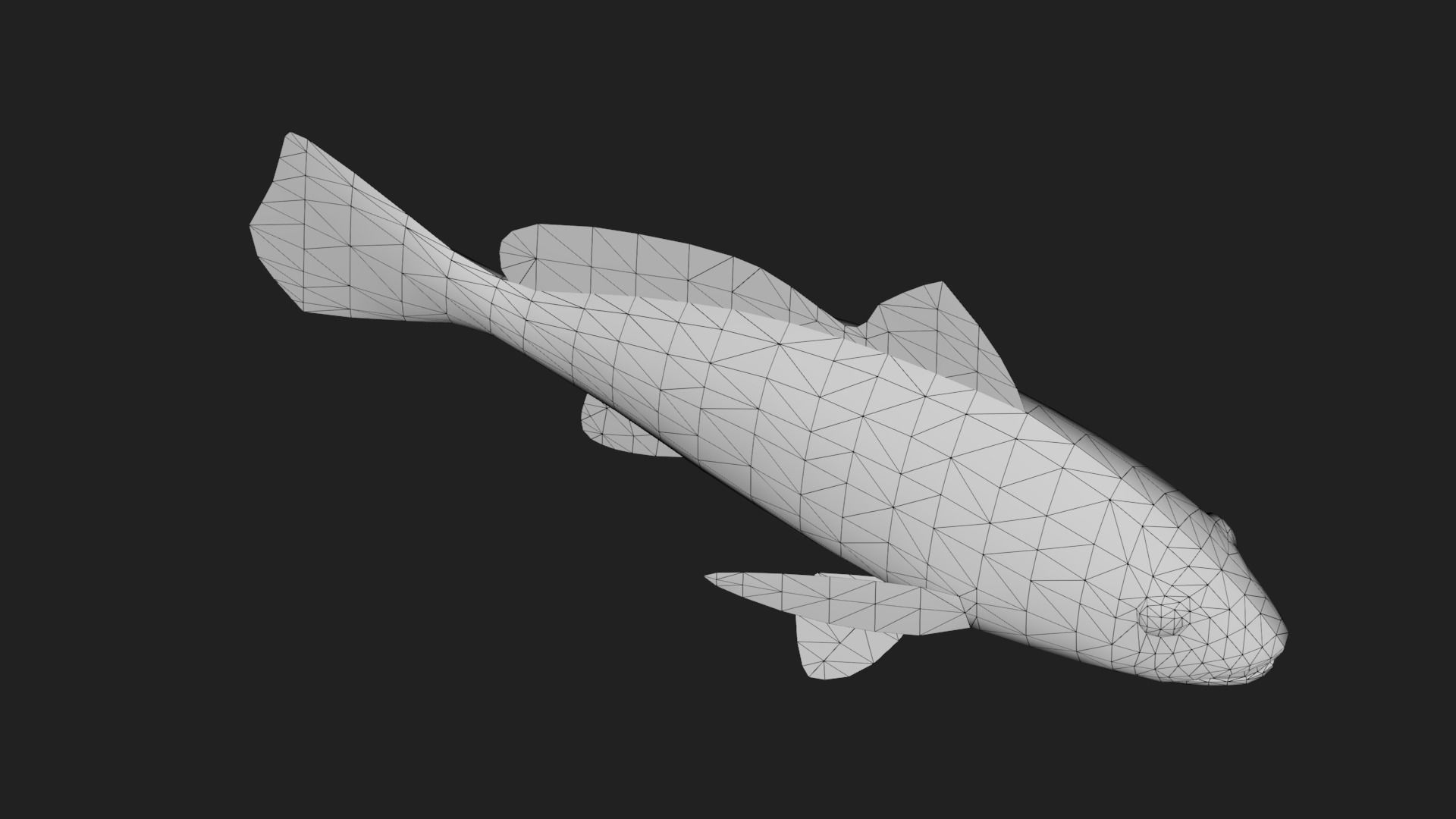 Bass fish Low-poly 3D model_3