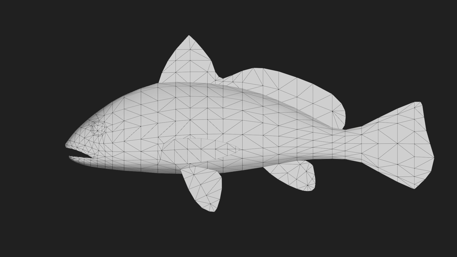 Bass fish Low-poly 3D model_1