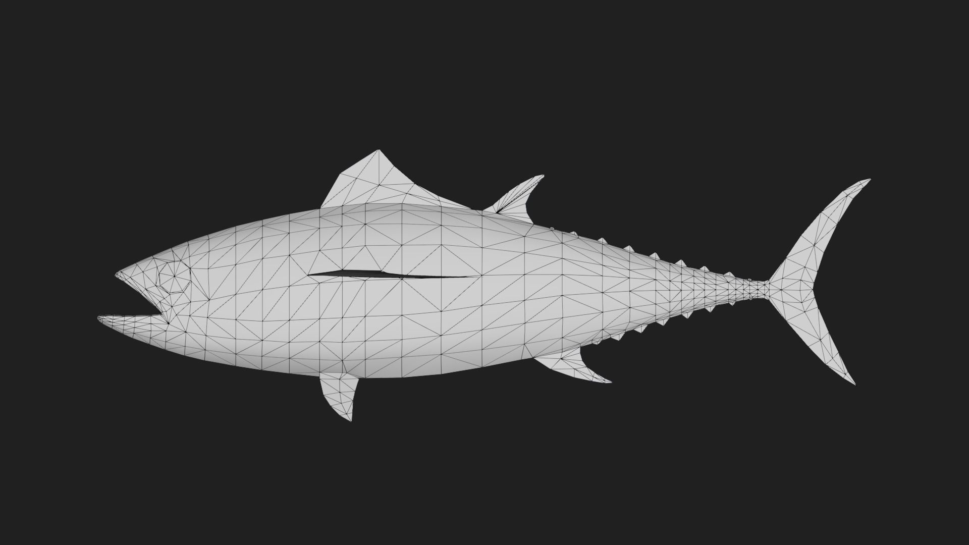 Tuna fish Low-poly 3D model_1
