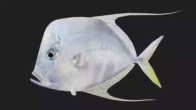 Trevally Low-poly 3D model