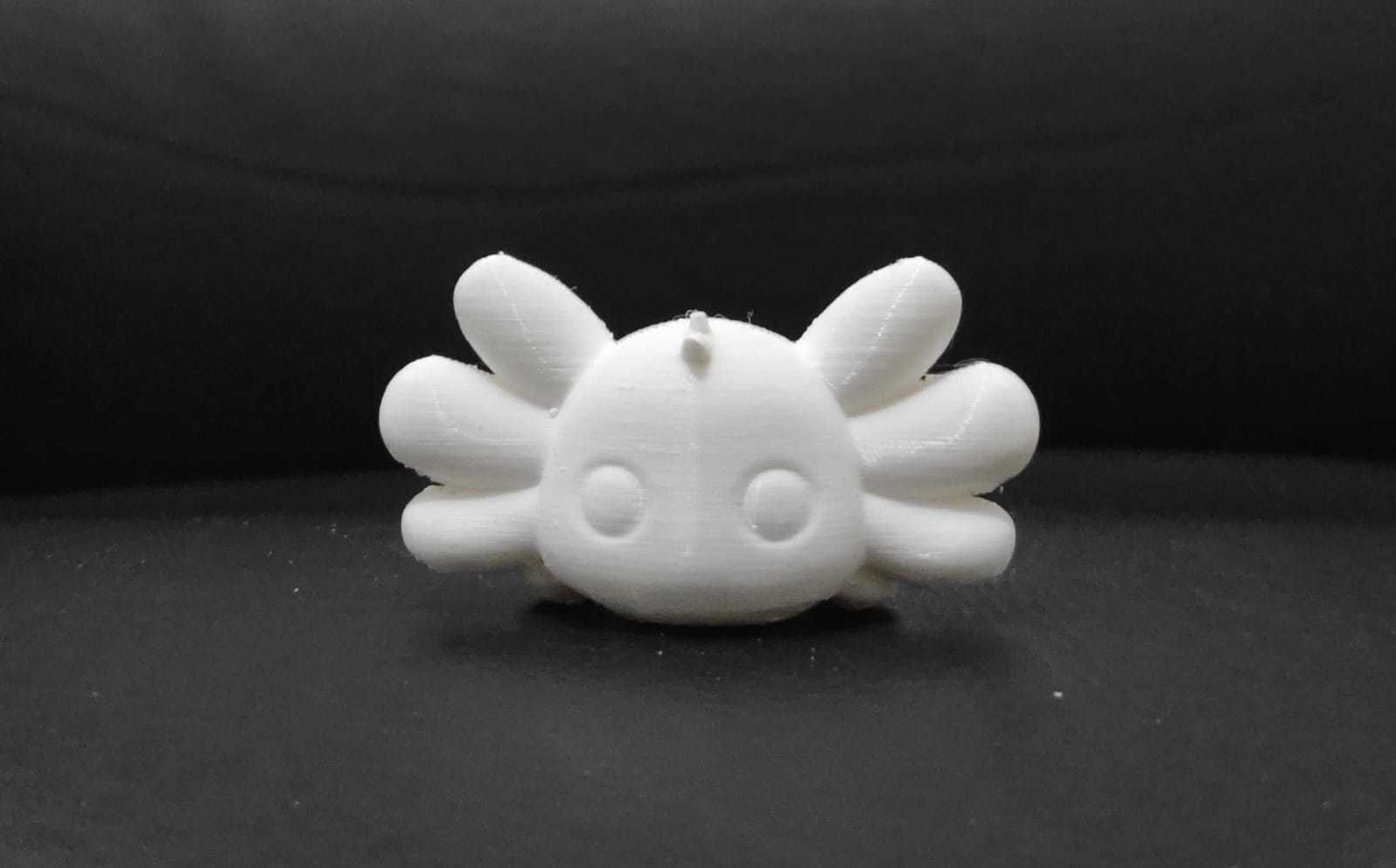 Axolotl Lying Down 3D print model_4