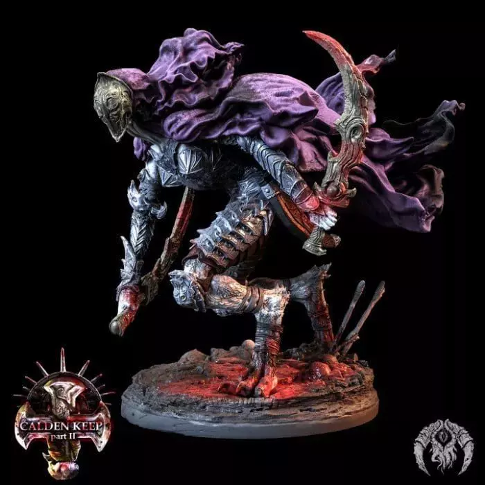 Morwen  the Shadow of Calden 3D print model_0