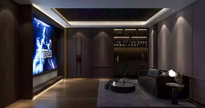 entertainment Video room home cinema
