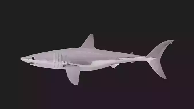 Shark Low-poly 3D model