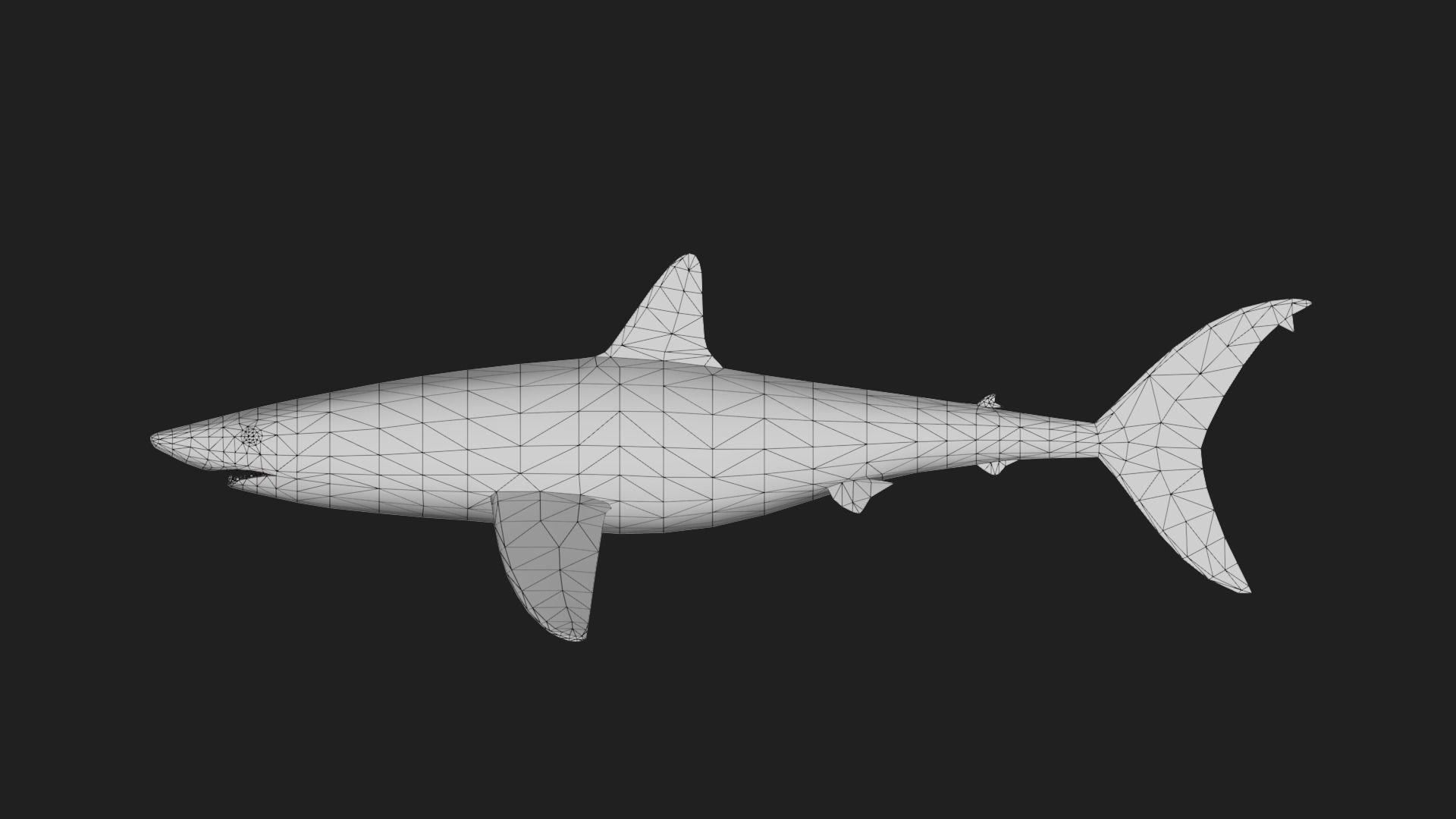 Shark Low-poly 3D model_1