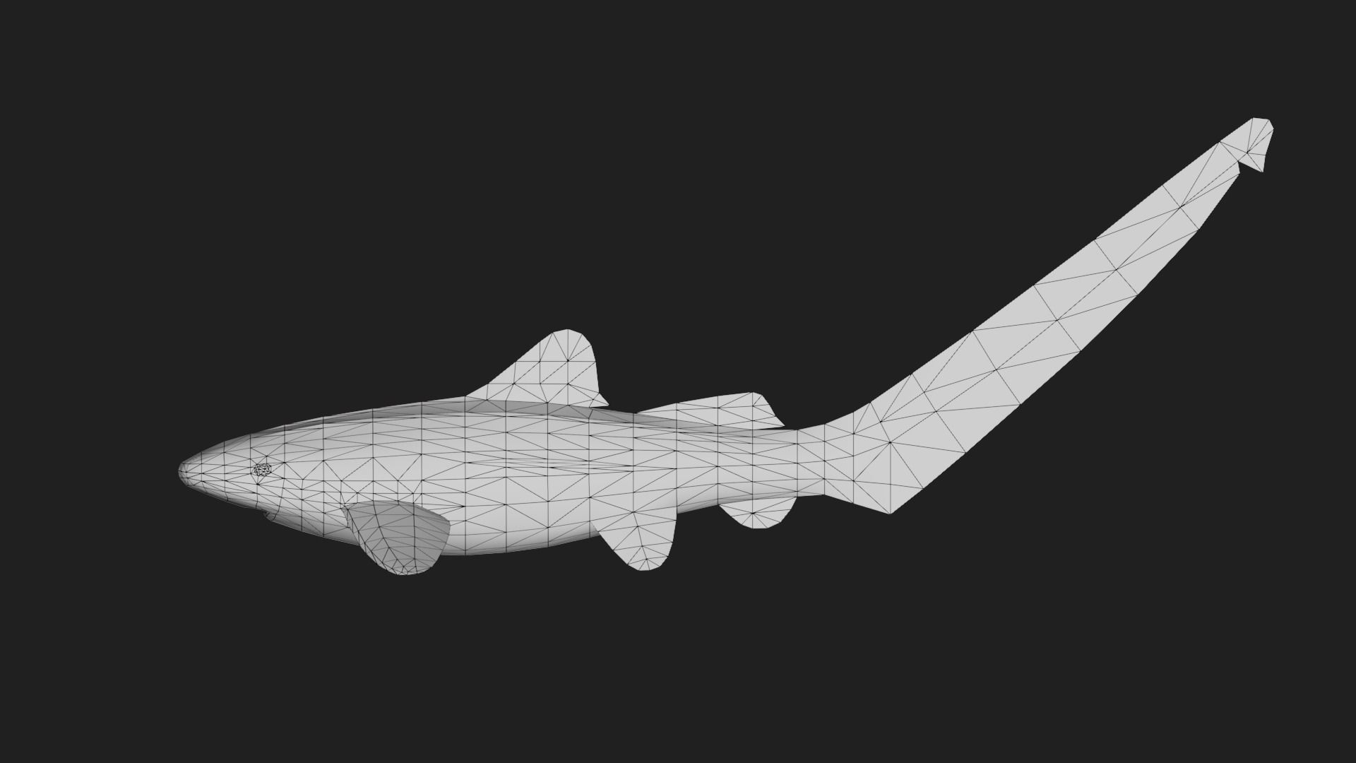 Shark Low-poly 3D model_1