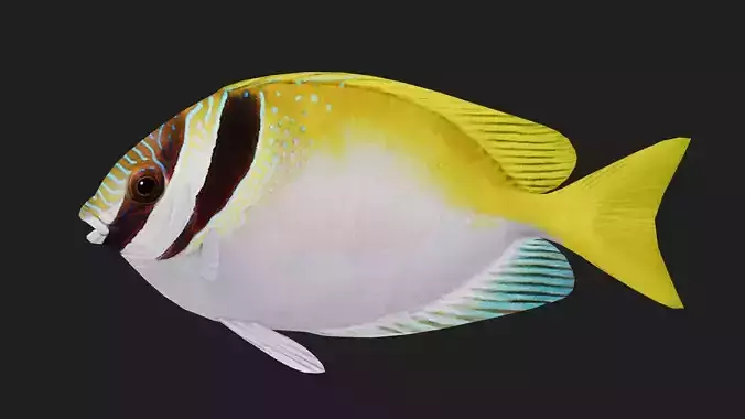 Spinefoot Low-poly 3D model