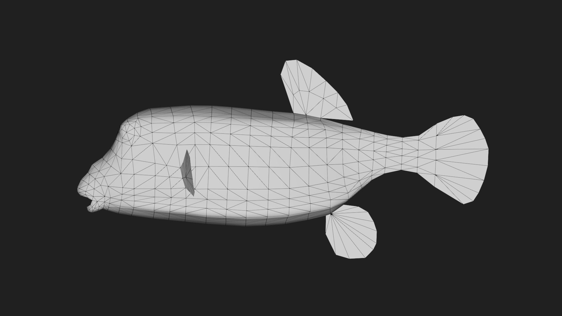 Boxfish Low-poly 3D model_3