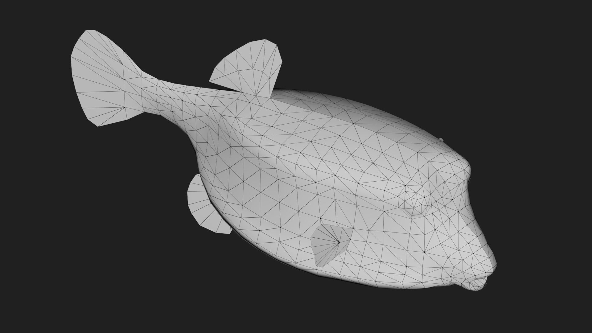 Boxfish Low-poly 3D model_1