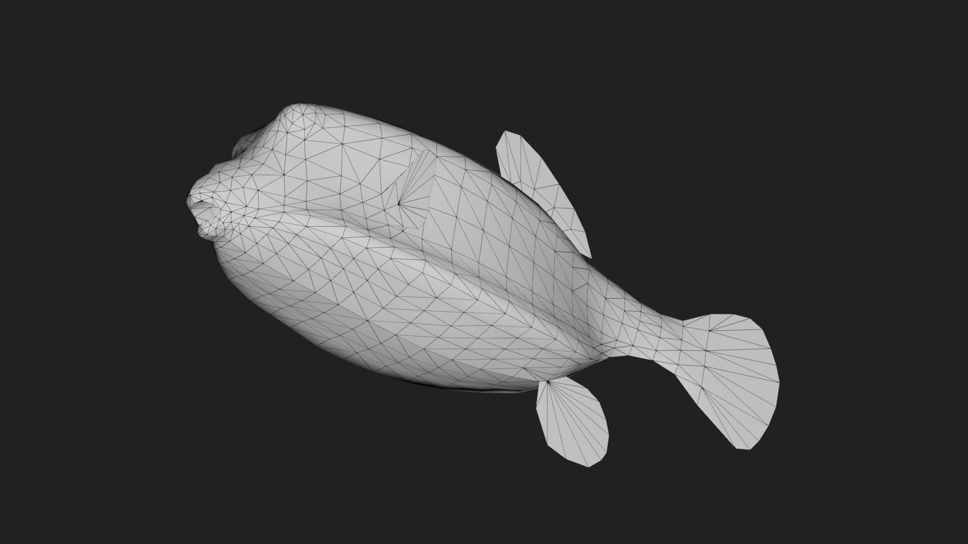 Boxfish Low-poly 3D model_5