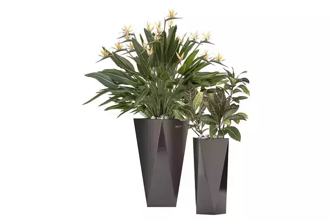 Plant set 009