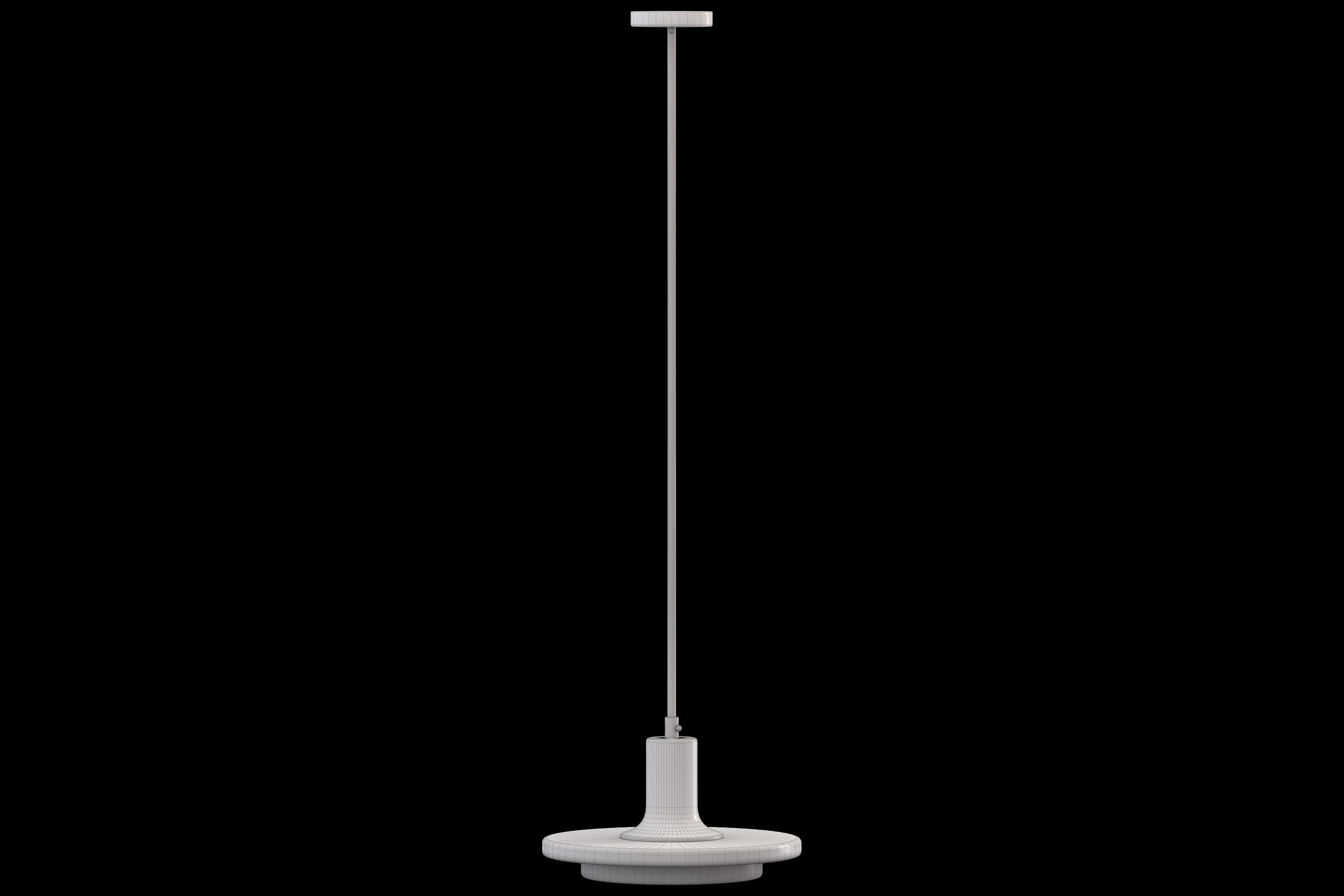 Double Circle Pendant Light 3D model_3