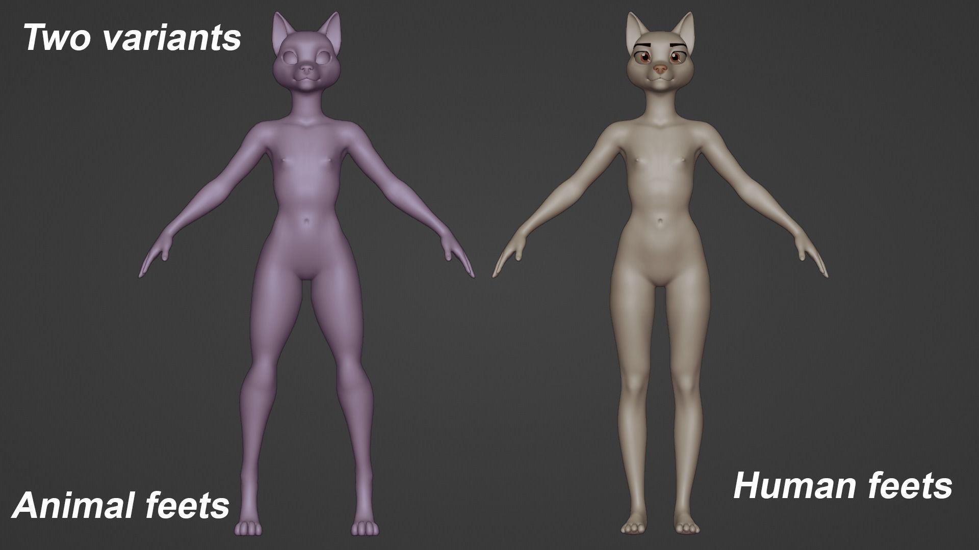 Furry Female Wolf Base Mesh 3D model_1
