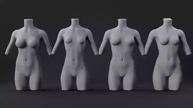 Female Torso