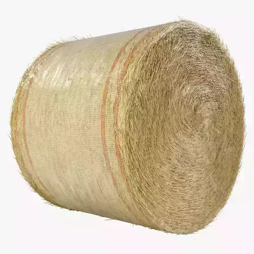 Round Hay Bale 3D model