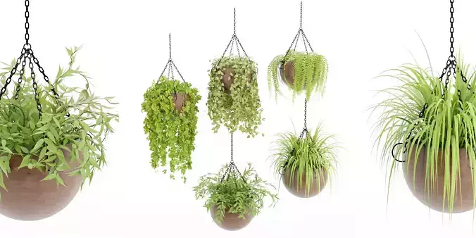 Hanging plant indoor collection vol 41-Blender 3D model