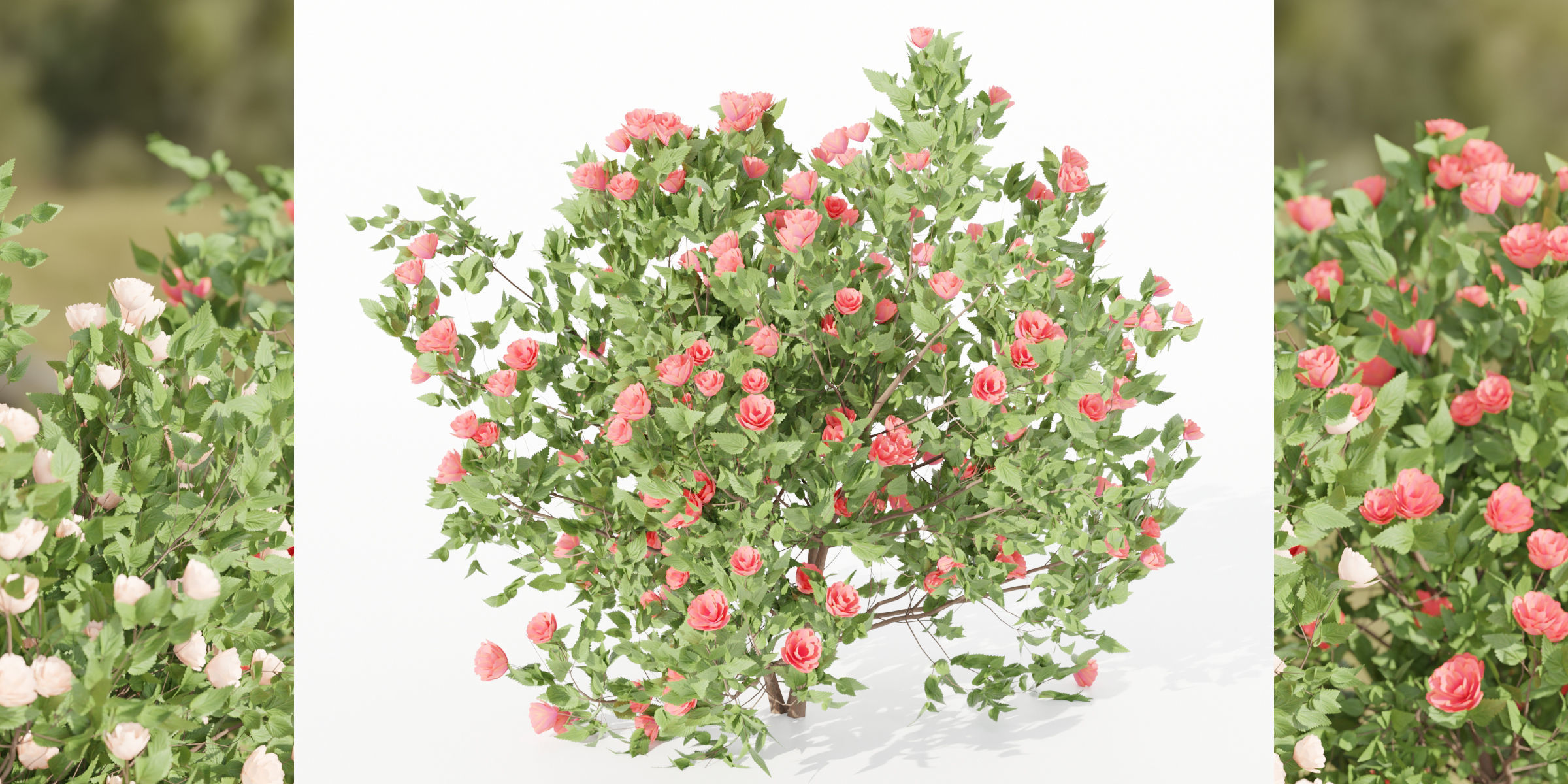 flowering bushes collection vol 42-Blender 3D model_2