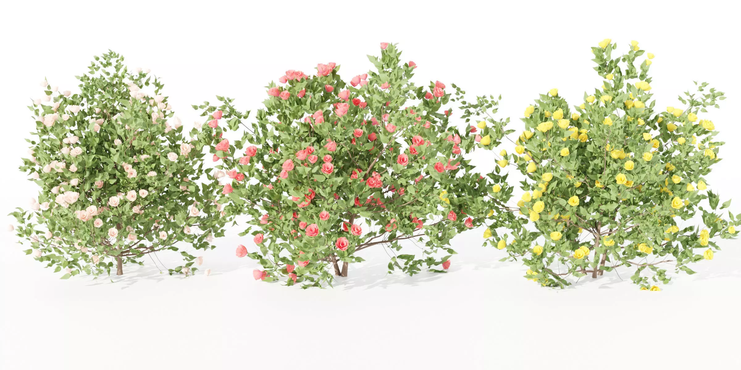 flowering bushes collection vol 42-Blender 3D model_0