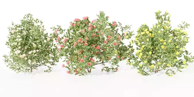 flowering bushes collection vol 42-Blender 3D model