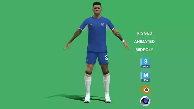 3D Rigged Enzo Fernandez Chelsea 2024 3D model