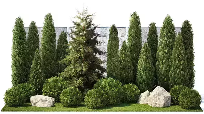 Garden with thuja cypress pine and topiary plant 1381 3D model