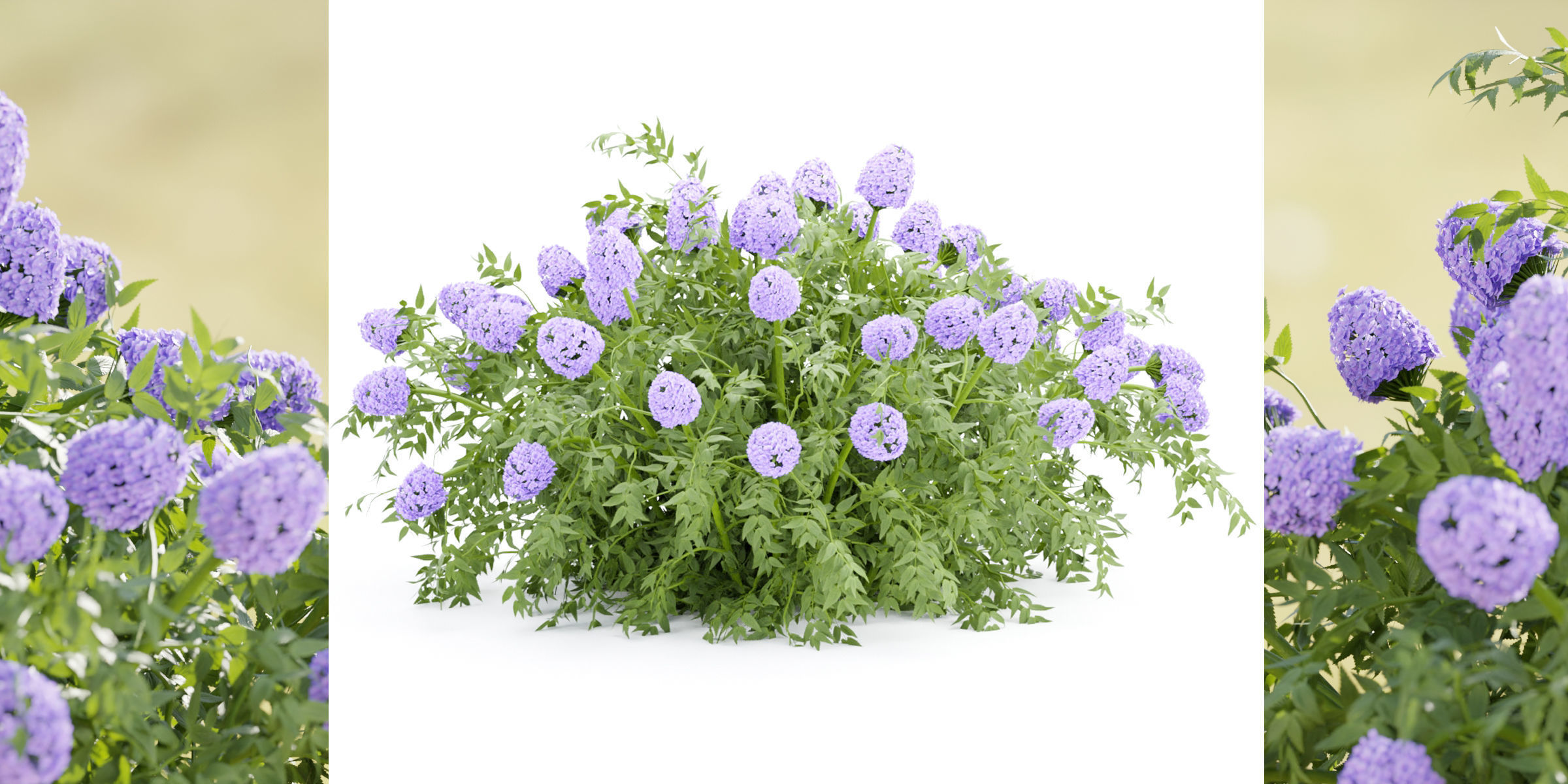 flowering bushes collection vol 43-Blender 3D model_2