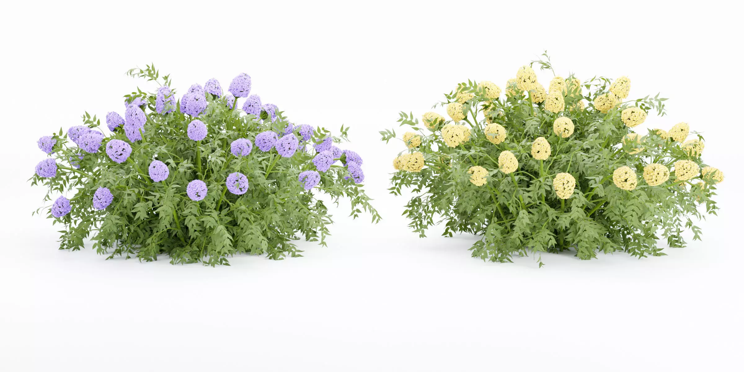flowering bushes collection vol 43-Blender 3D model_0