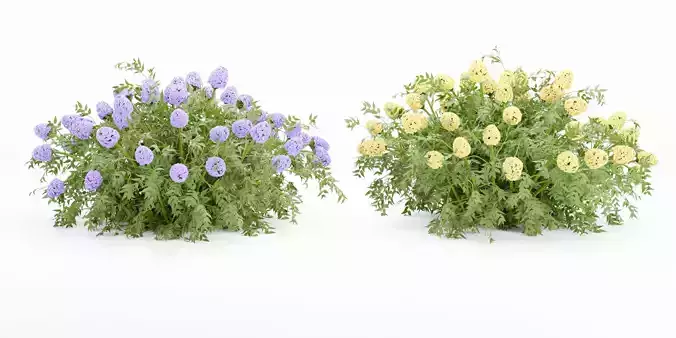 flowering bushes collection vol 43-Blender 3D model