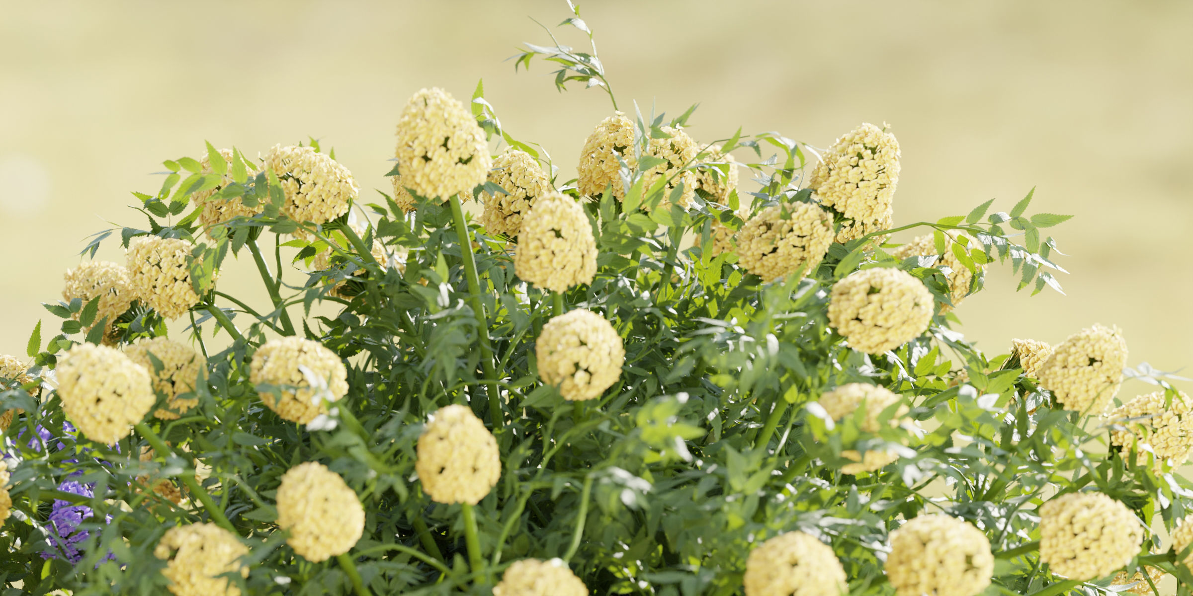 flowering bushes collection vol 43-Blender 3D model_4