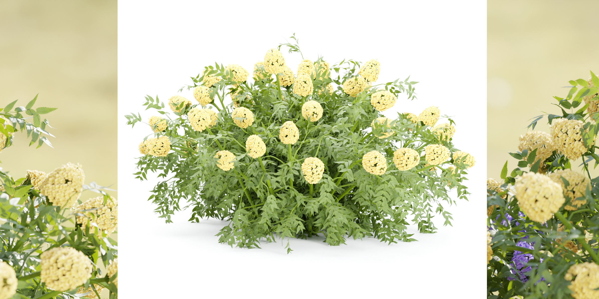 flowering bushes collection vol 43-Blender 3D model_1