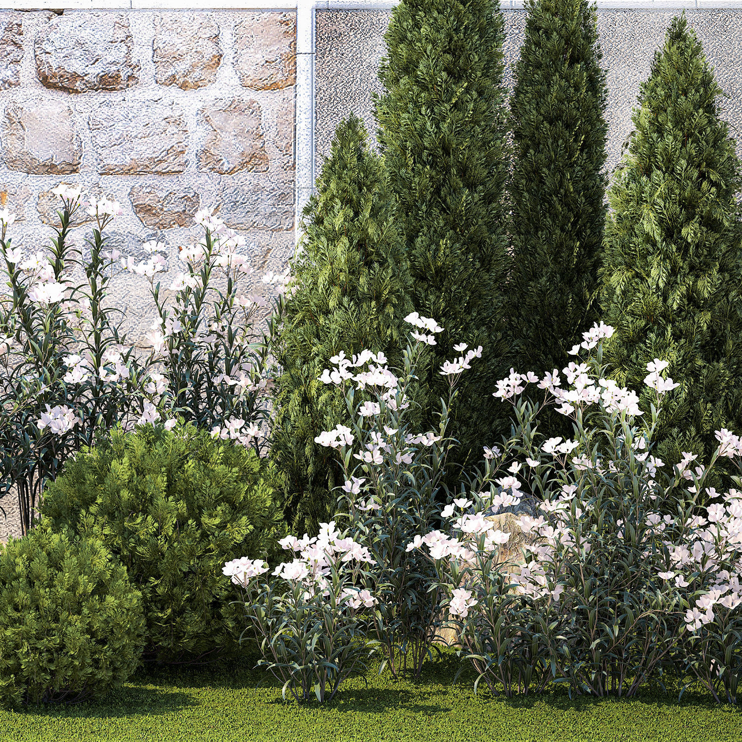 Garden with thuja cypress pine and Nerium oleander plant 1382 3D model_12