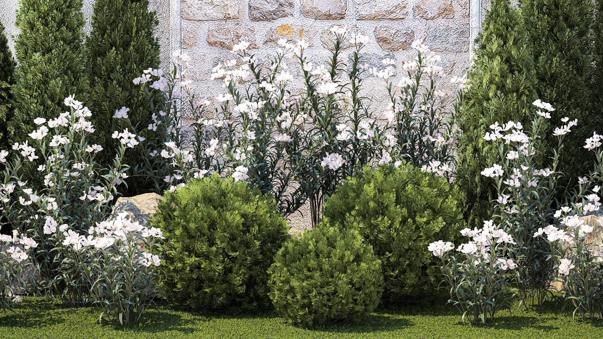 Garden with thuja cypress pine and Nerium oleander plant 1382 3D model_2