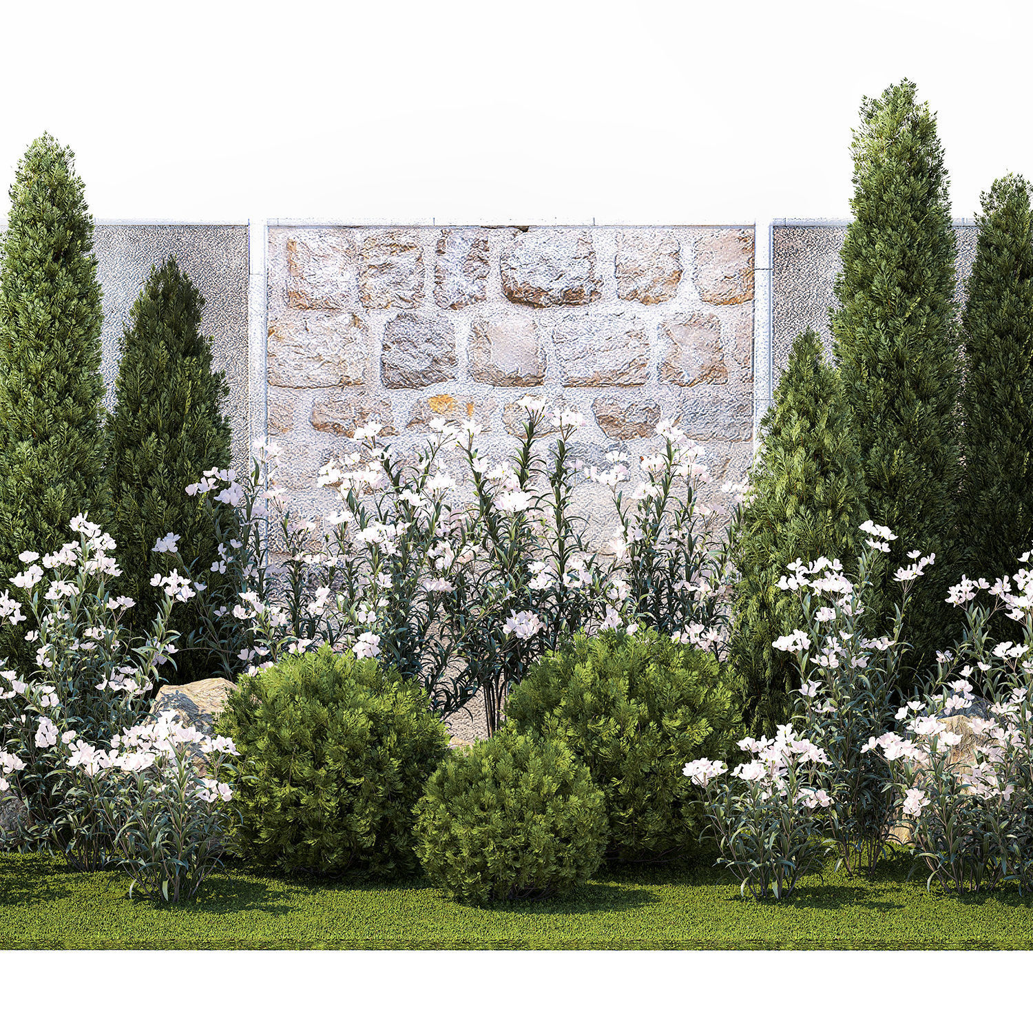 Garden with thuja cypress pine and Nerium oleander plant 1382 3D model_9