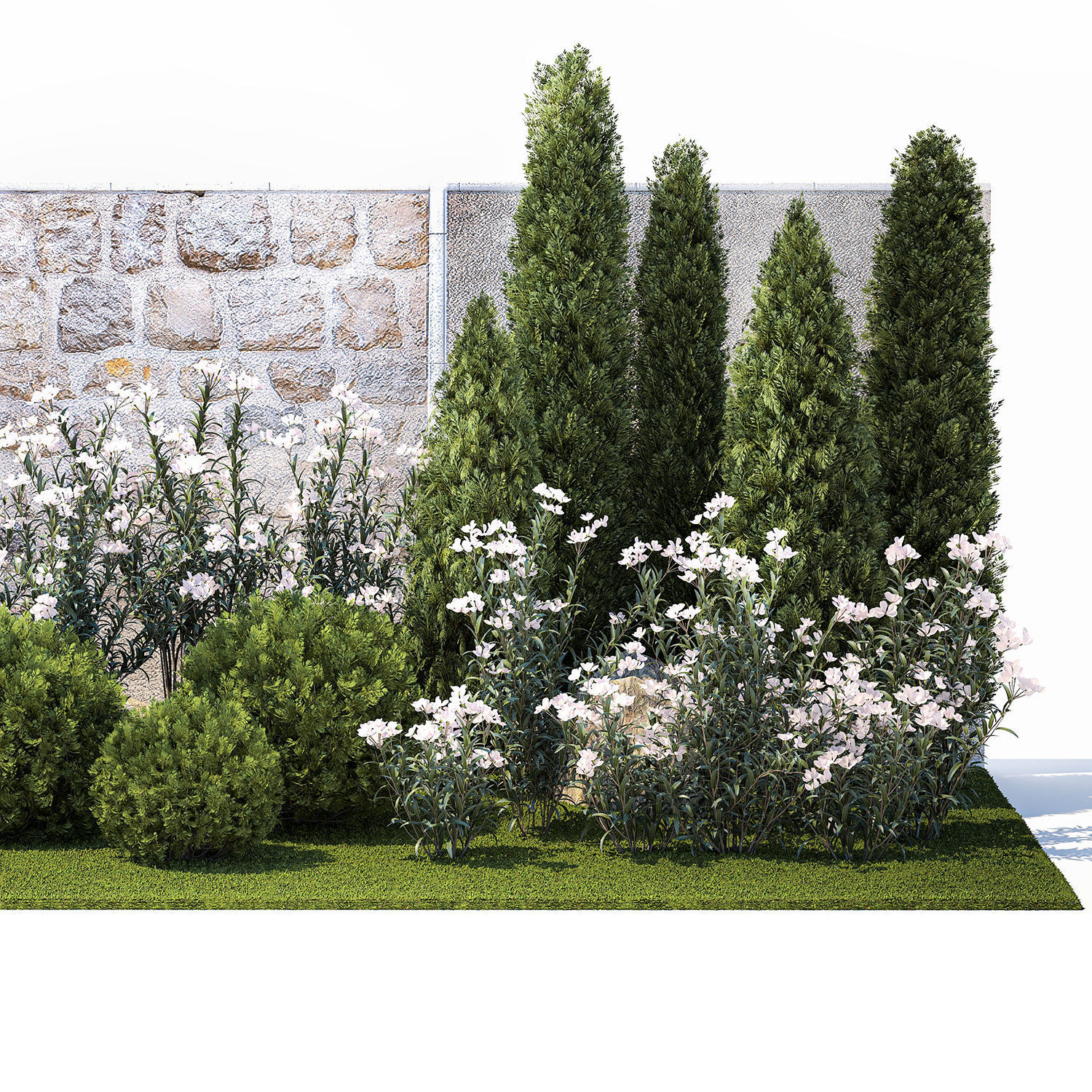 Garden with thuja cypress pine and Nerium oleander plant 1382 3D model_10