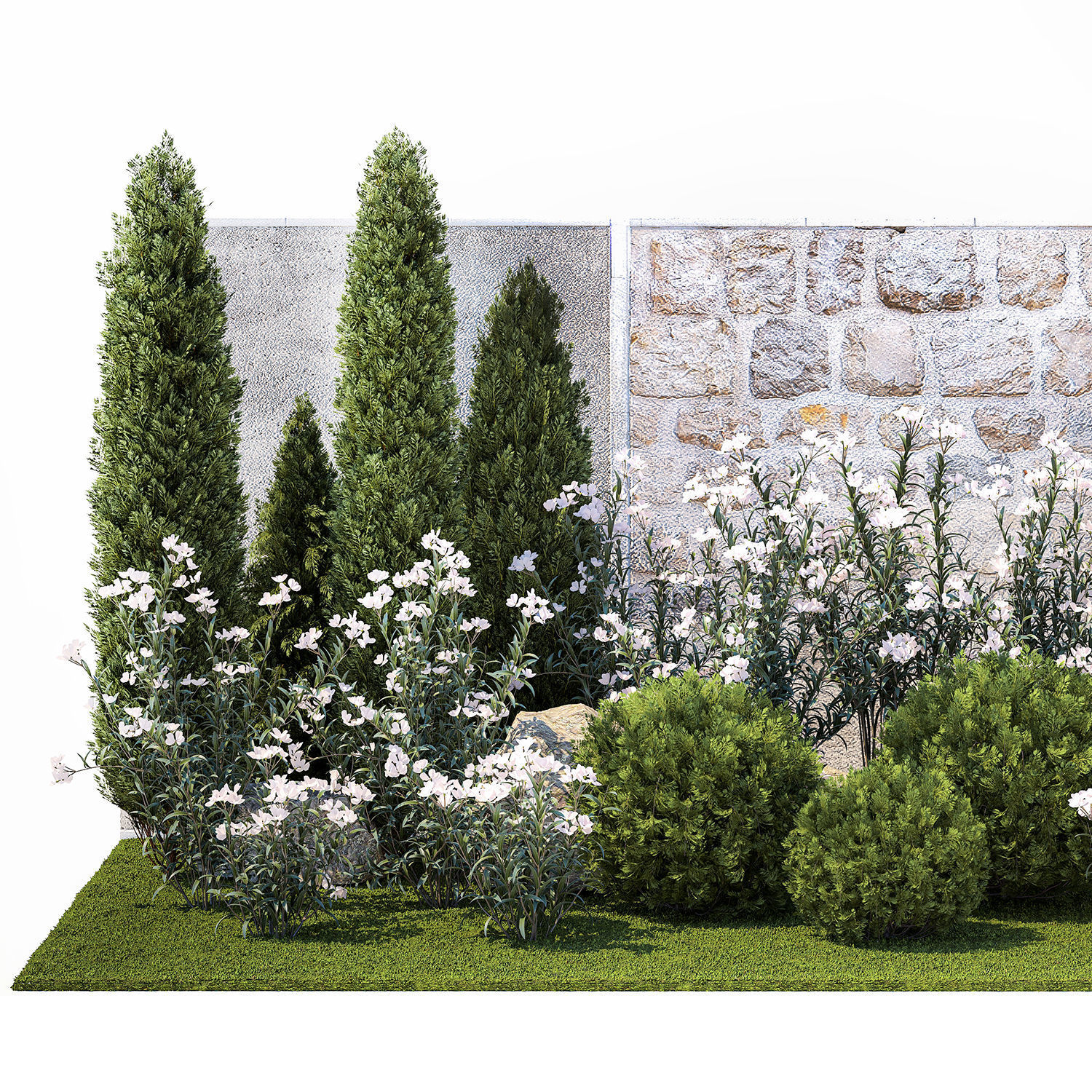 Garden with thuja cypress pine and Nerium oleander plant 1382 3D model_8