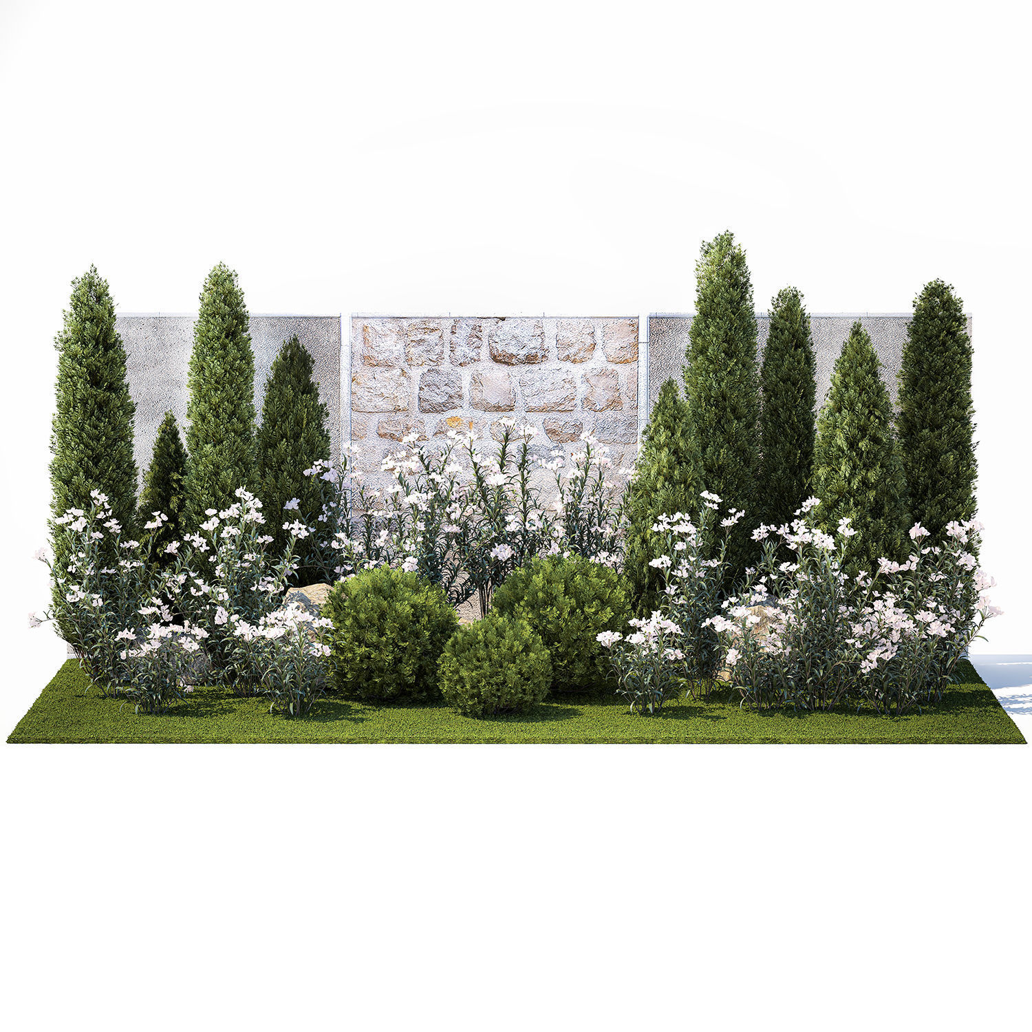 Garden with thuja cypress pine and Nerium oleander plant 1382 3D model_7
